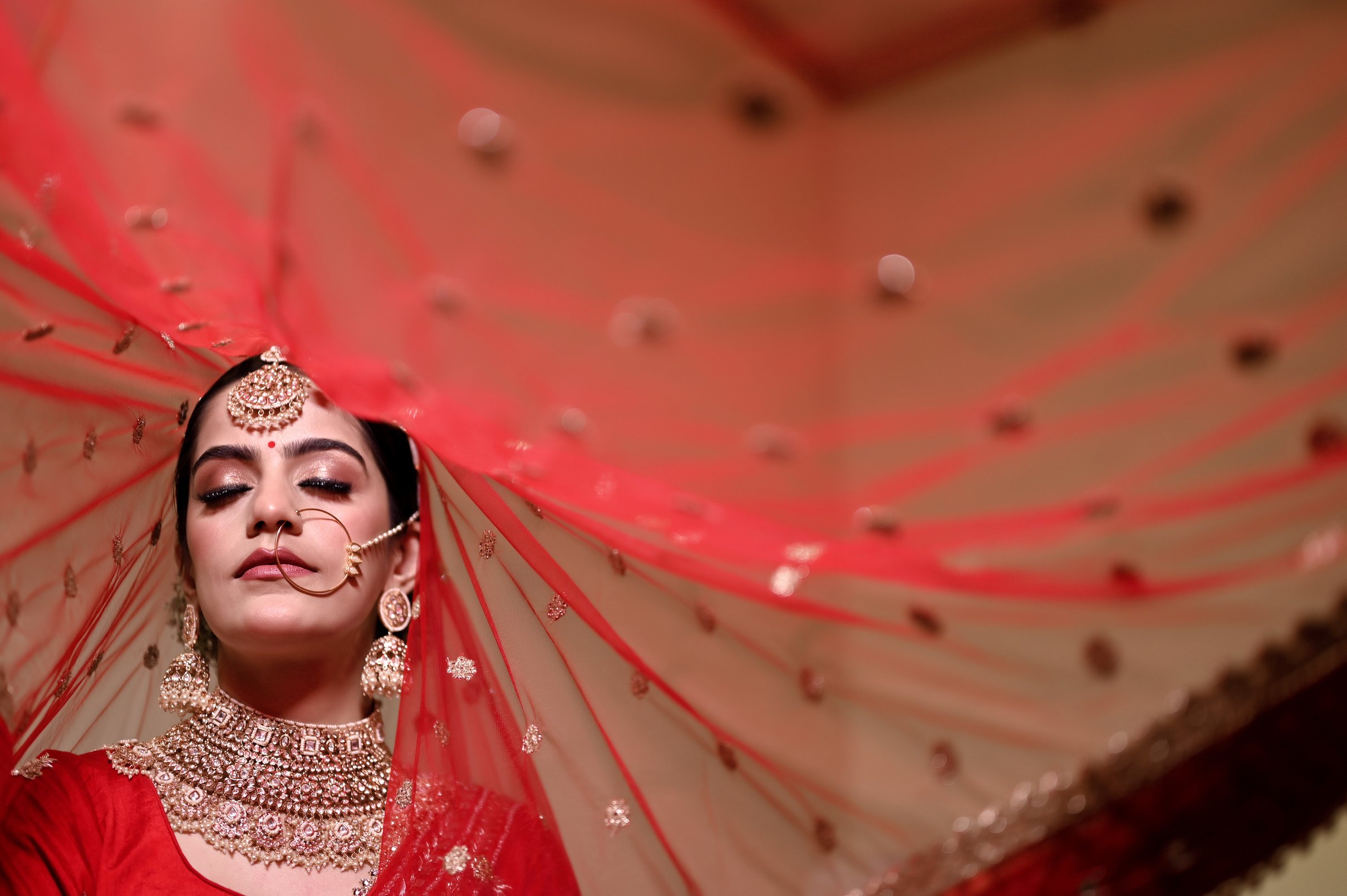 Portrait of a Traditional Bride